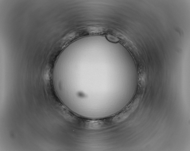 X0000115250277200911131731