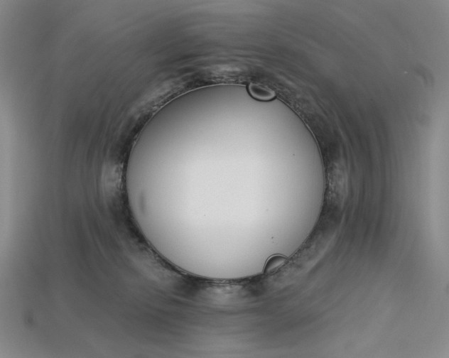 X0000115250278200911131731