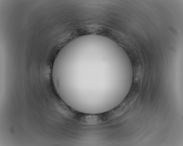 X0000115250279200911131731