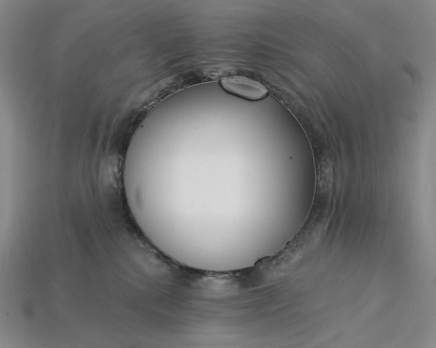 X0000115250280200911131731