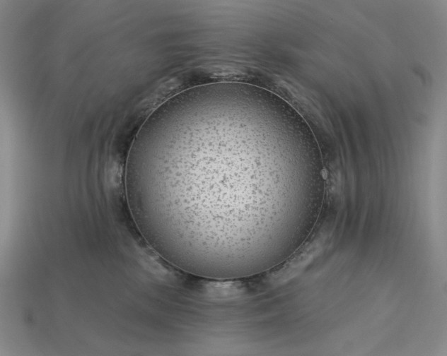 X0000115250281200911131731