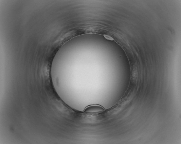 X0000115250282200911131731