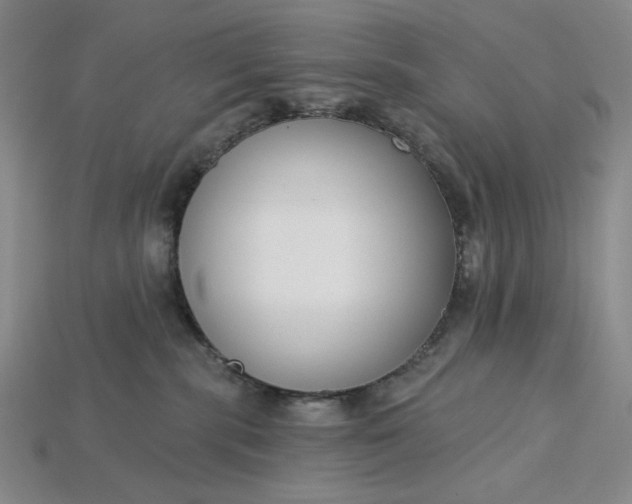 X0000115250283200911131731