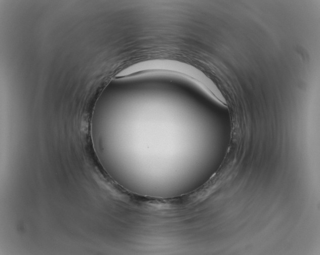 X0000115250284200911131731