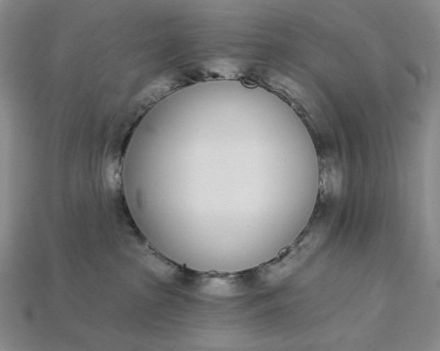 X0000115250285200911131731