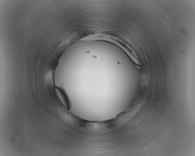 X0000115250286200911131731