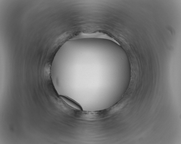 X0000115250288200911131731