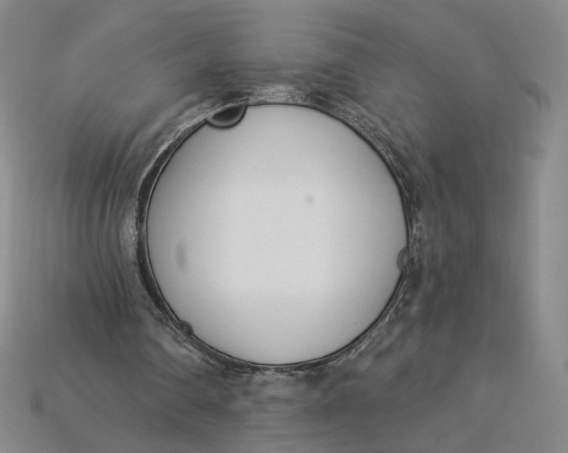 X0000115250290200911131730