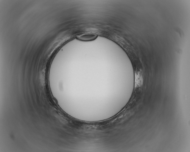 X0000115250291200911131730