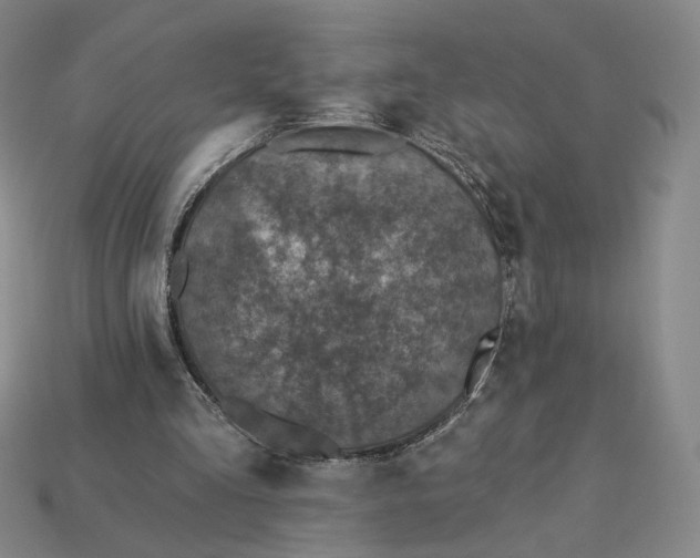 X0000115250293200911131730