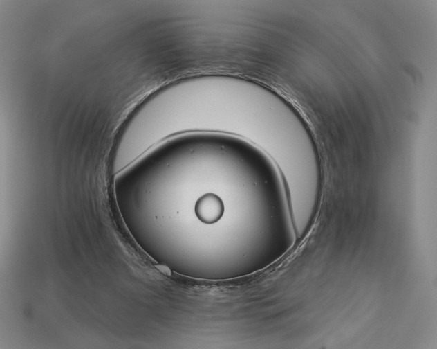 X0000115250297200911131730