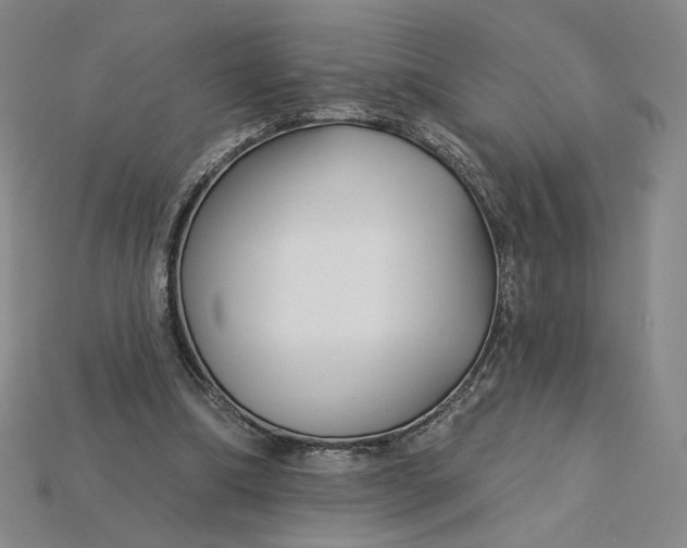 X0000115250298200911131730