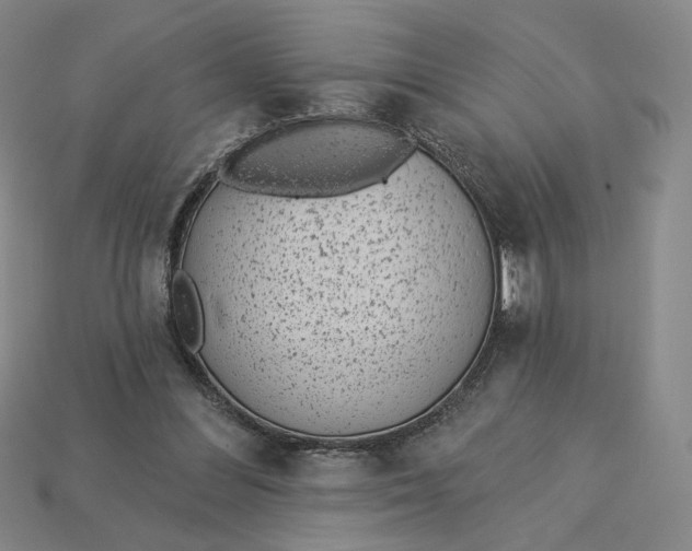 X0000115250300200911131730