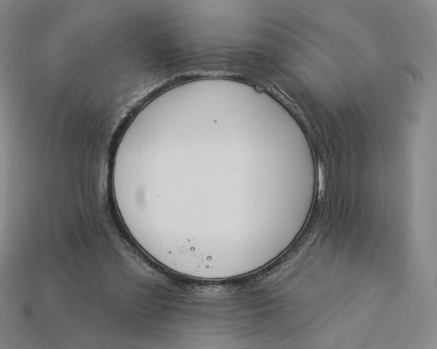 X0000115250301200911131730