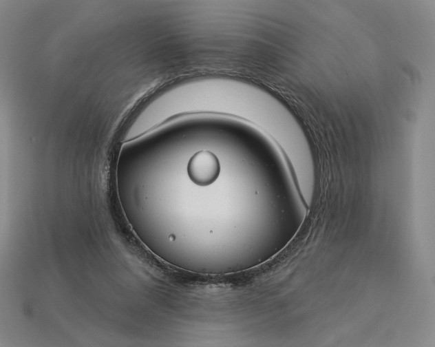 X0000115250304200911131730