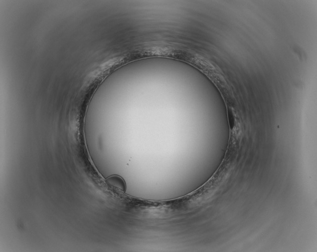 X0000115250306200911131730