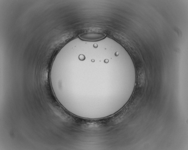 X0000115250310200911131730