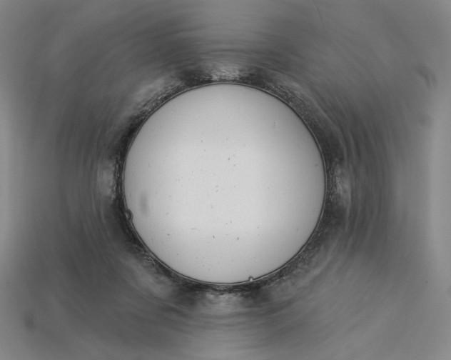 X0000115250311200911131730