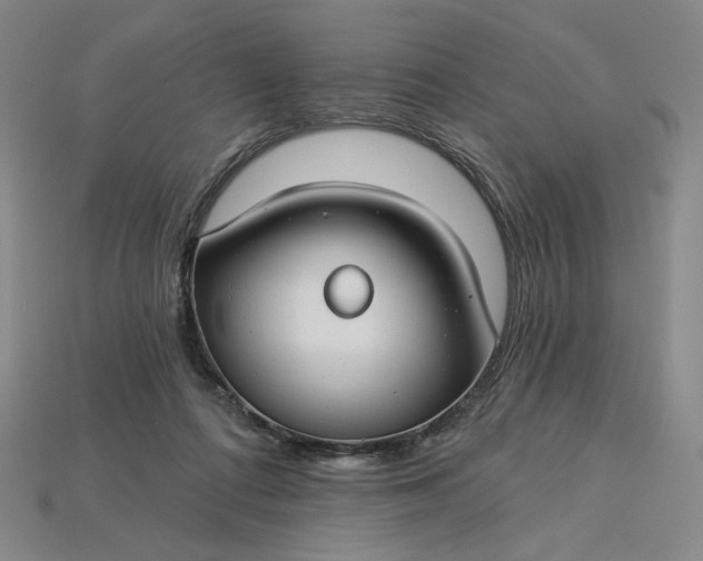 X0000115250312200911131730