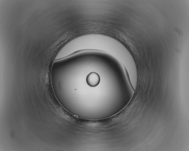 X0000115250313200911131730