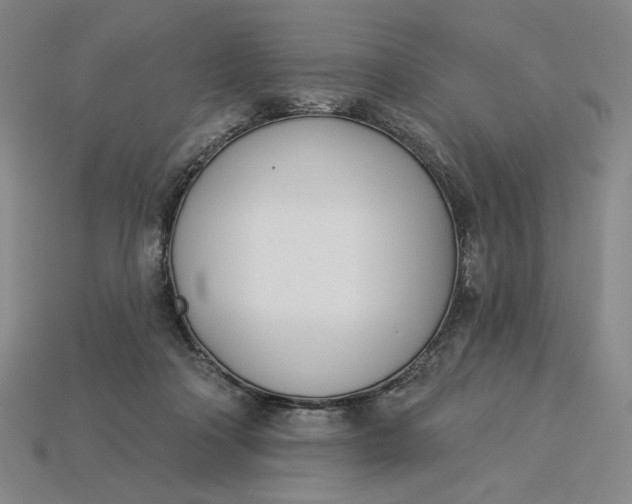 X0000115250314200911131730