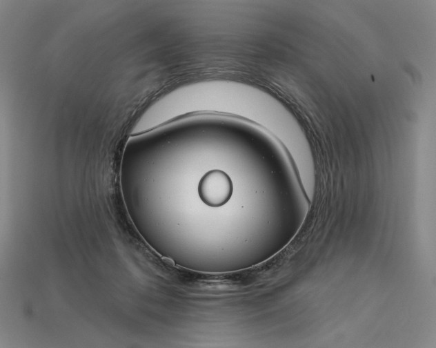 X0000115250316200911131730