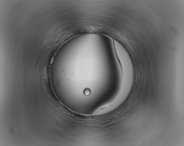 X0000115250317200911131730