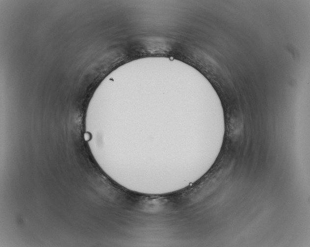 X0000115250321200911131730