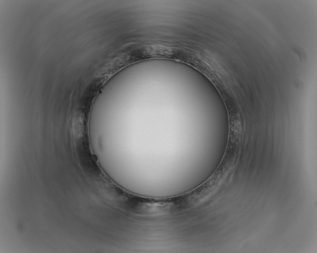 X0000115250323200911131730