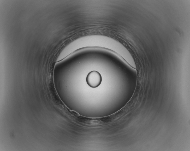 X0000115250324200911131730