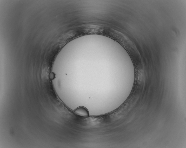 X0000115250326200911131730