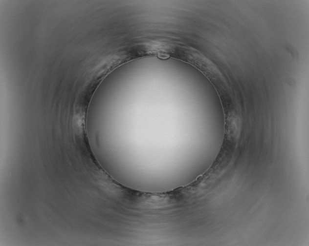 X0000115250329200911131730