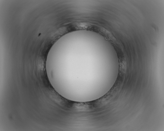 X0000115250331200911131730