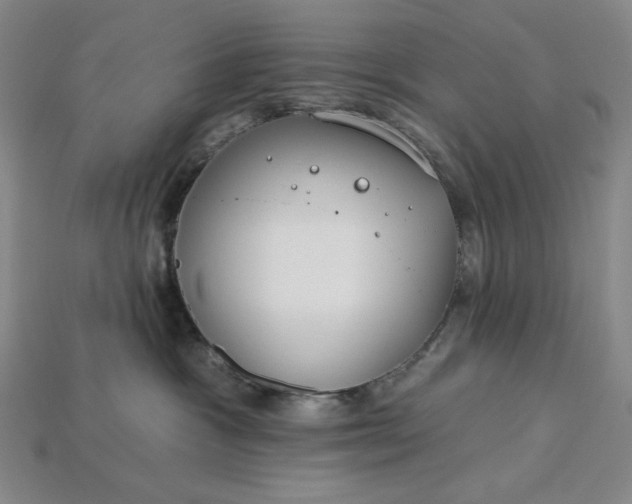 X0000115250333200911131730