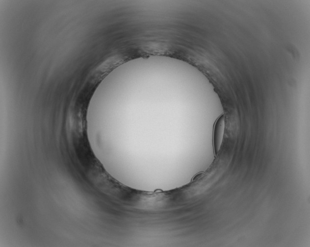 X0000115250334200911131730