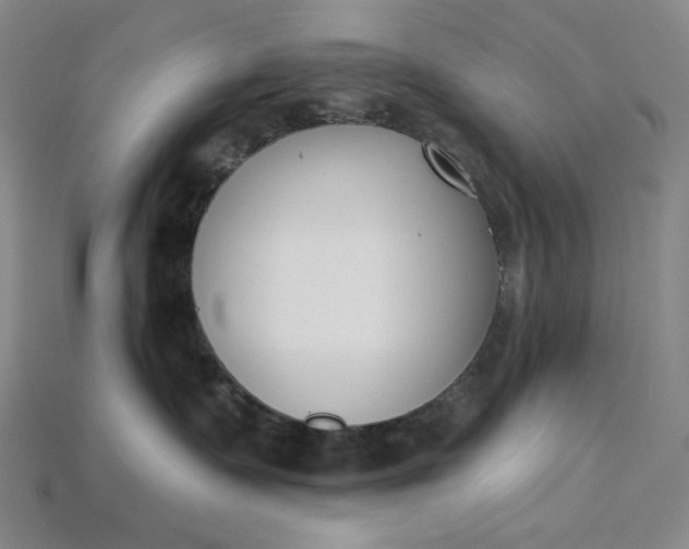 X0000115250335200911131730