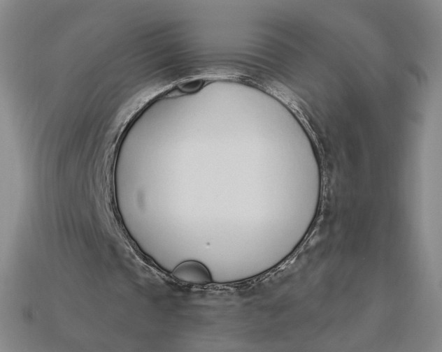 X0000115250337200911131729