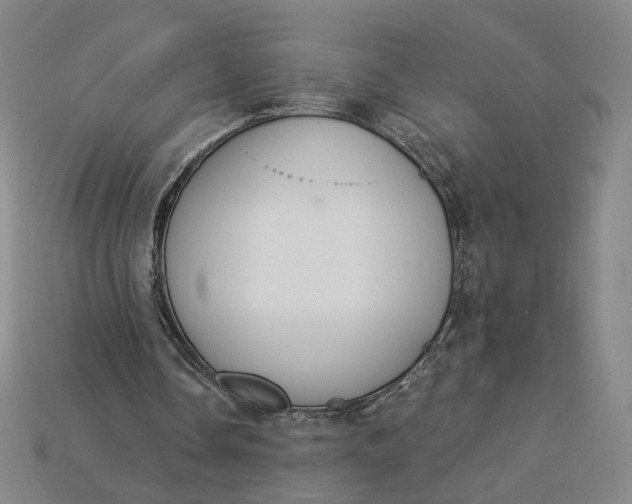 X0000115250338200911131729