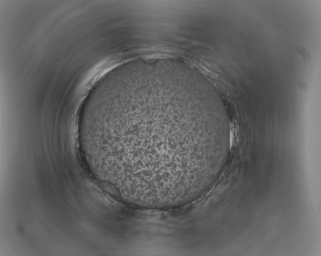 X0000115250339200911131729