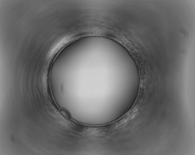 X0000115250341200911131729