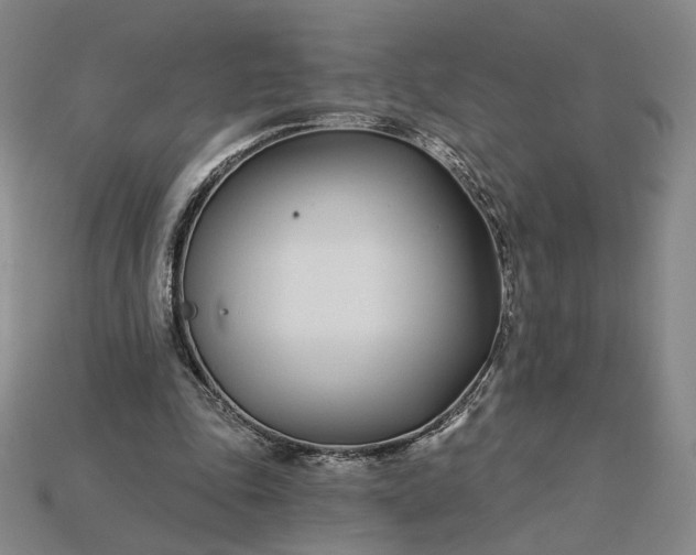 X0000115250343200911131729