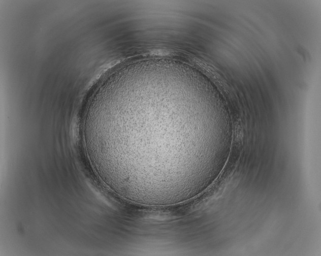 X0000115250347200911131729