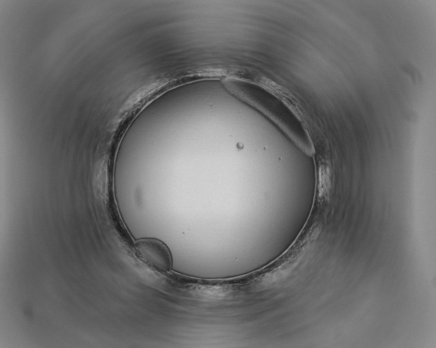 X0000115250349200911131729