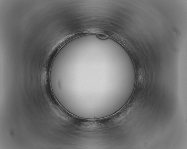 X0000115250351200911131729