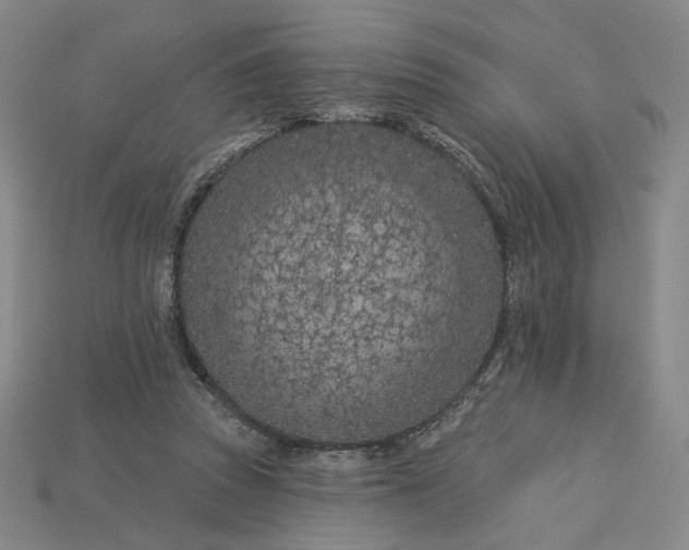 X0000115250353200911131729