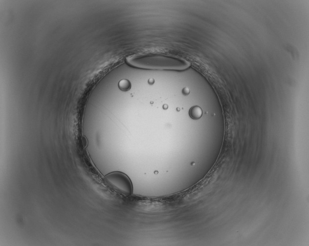 X0000115250354200911131729