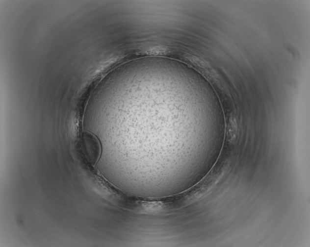 X0000115250355200911131729