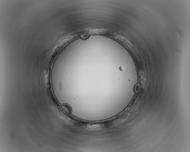 X0000115250357200911131729