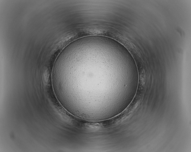 X0000115250359200911131729