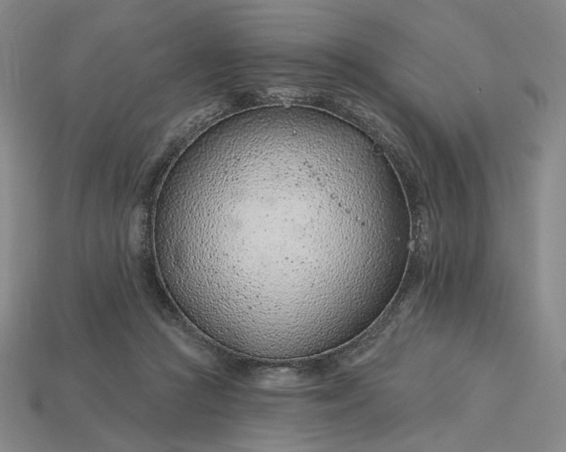 X0000115250361200911131729